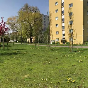 White House Apartament